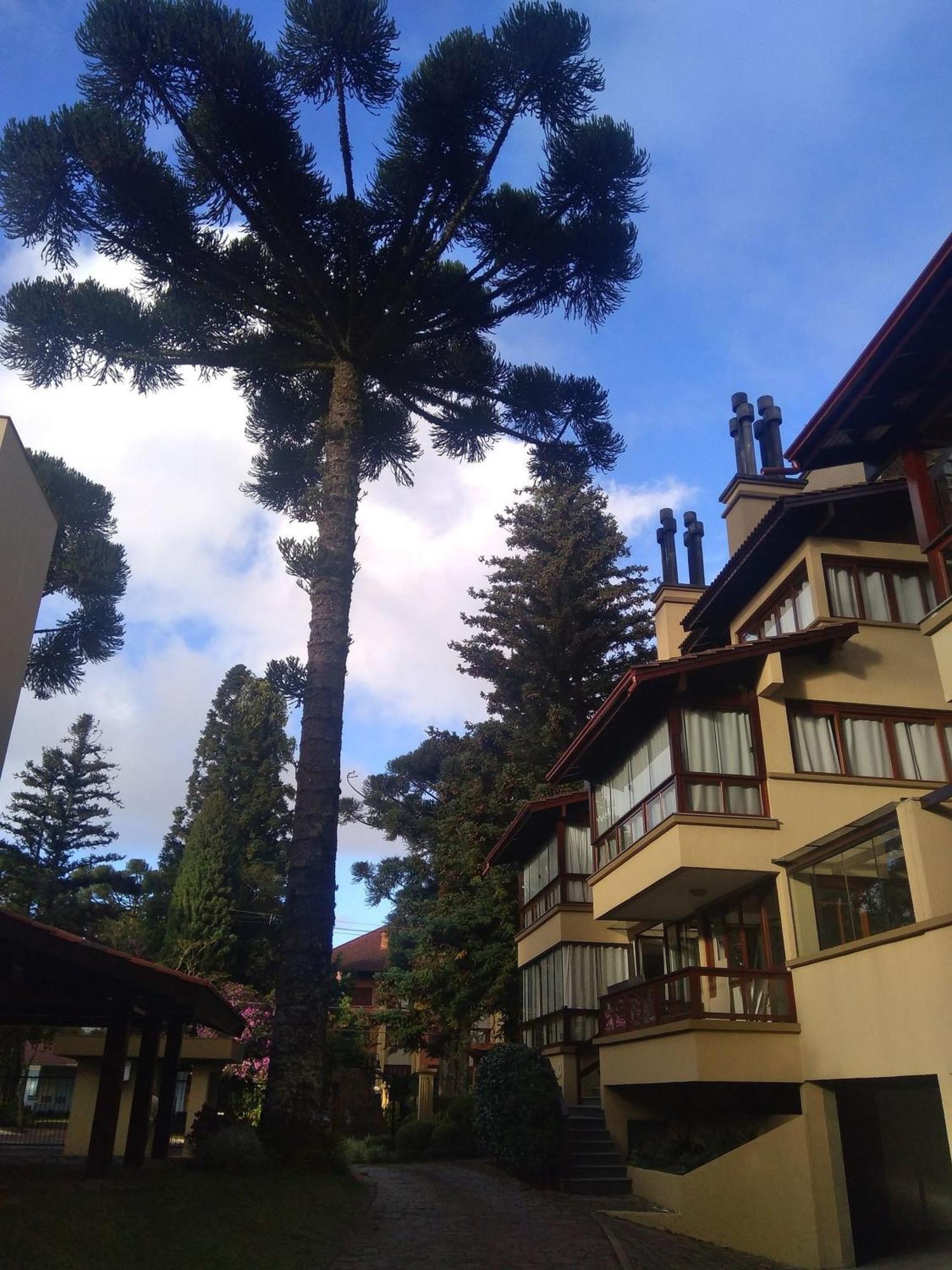 Appartamento Estacao Das Hortensias, Seu Aconchego Em Gramado Esterno foto