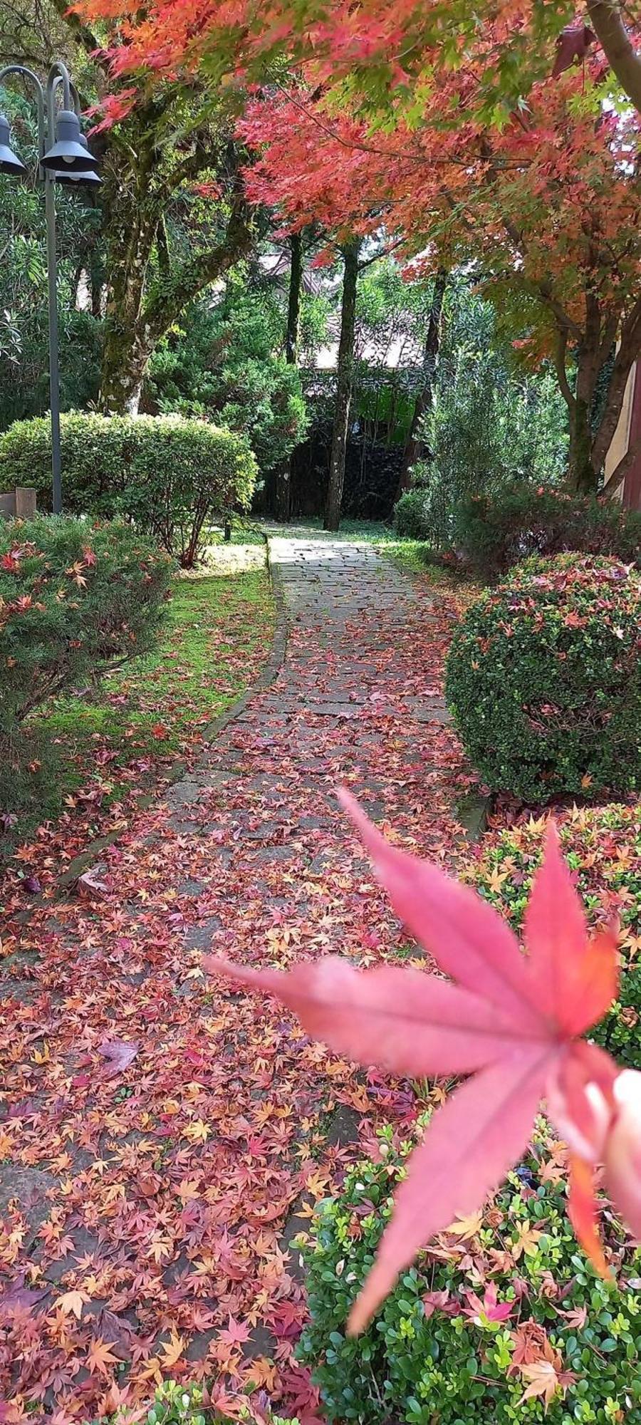 Appartamento Estacao Das Hortensias, Seu Aconchego Em Gramado Esterno foto