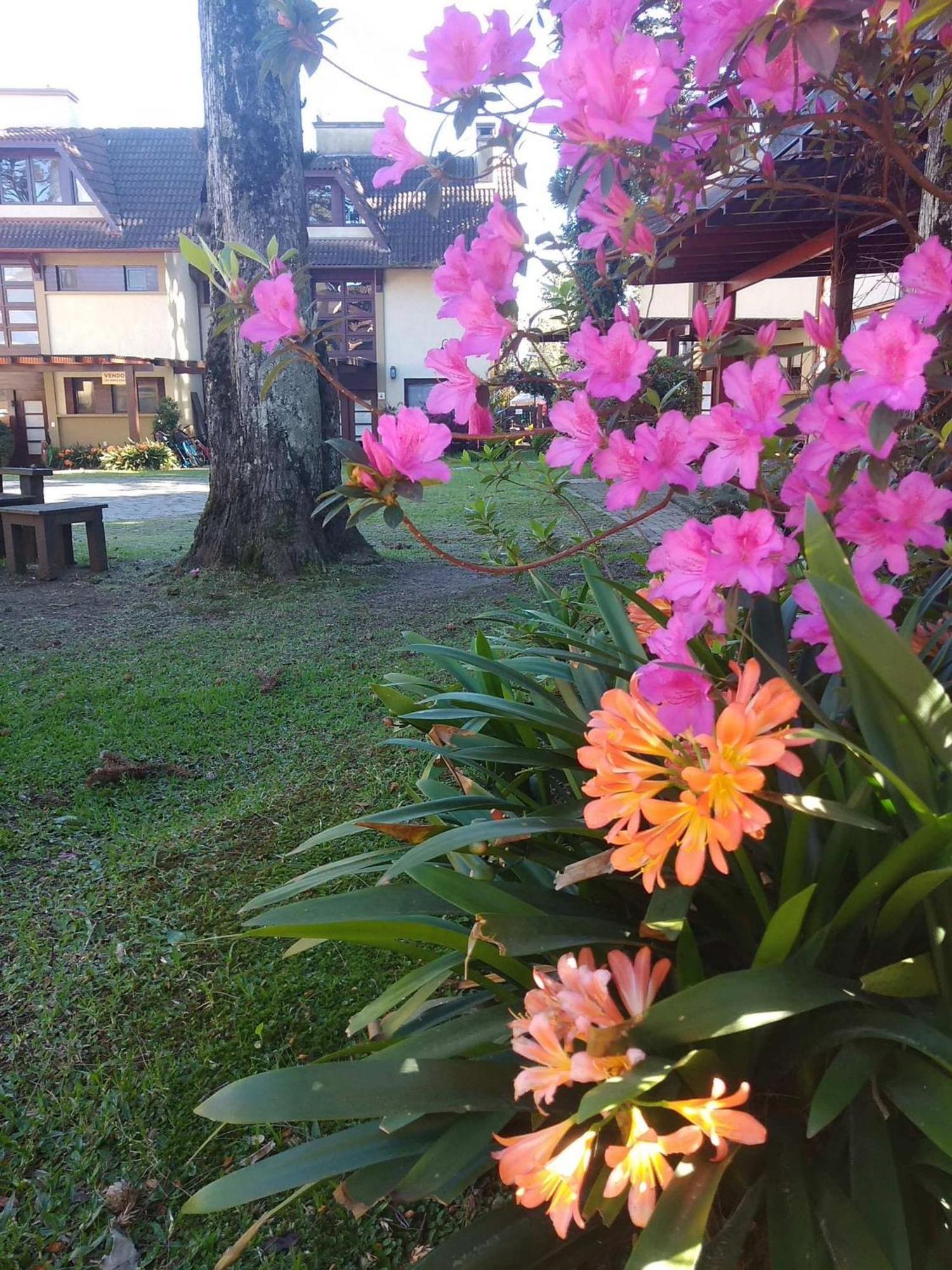 Appartamento Estacao Das Hortensias, Seu Aconchego Em Gramado Esterno foto
